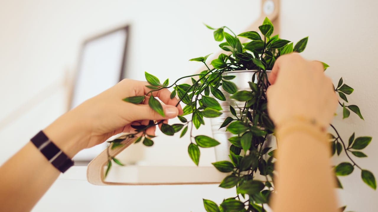 Tips To Make Your House Shine This Home-Selling Season Tips To Make Your House Shine This Home-Selling Season