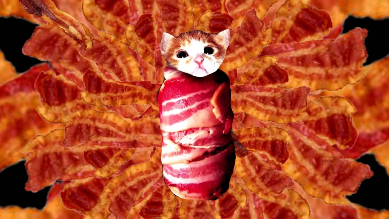 Businesses can turn to pigs to bring home the bacon Businesses can turn to pigs to bring home the bacon