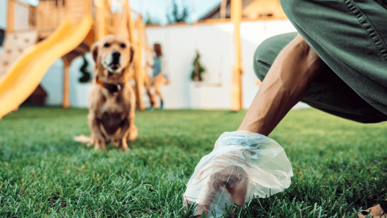 Entrepreneur: Want to Make $1 Million as a Franchisee? Clean up Some Dog Poop Entrepreneur: Want to Make $1 Million as a Franchisee? Clean up Some Dog Poop