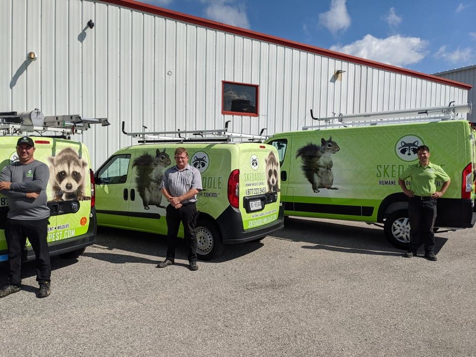 Skedaddle Humane Wildlife Control Is Reshaping How Customers View Critter Removal Skedaddle Humane Wildlife Control Is Reshaping How Customers View Critter Removal