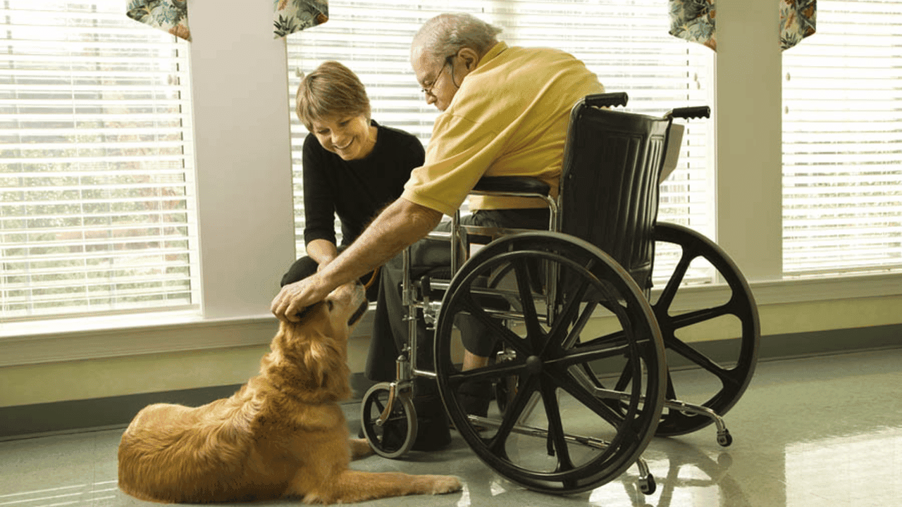 Home Health Care: How This Griswold Franchise’s Therapy Dogs Bring Comfort and Joy to Clients Home Health Care: How This Griswold Franchise’s Therapy Dogs Bring Comfort and Joy to Clients