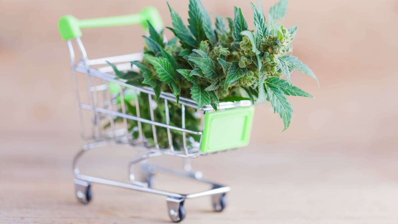 Small Businesses Could Feel the Burn from Federal Legalization of Cannabis Small Businesses Could Feel the Burn from Federal Legalization of Cannabis
