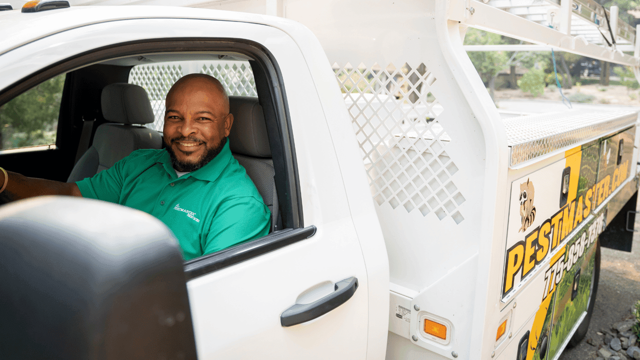 How Pestmaster Franchise Owners Are Reaping Benefits of Industry Trends How Pestmaster Franchise Owners Are Reaping Benefits of Industry Trends