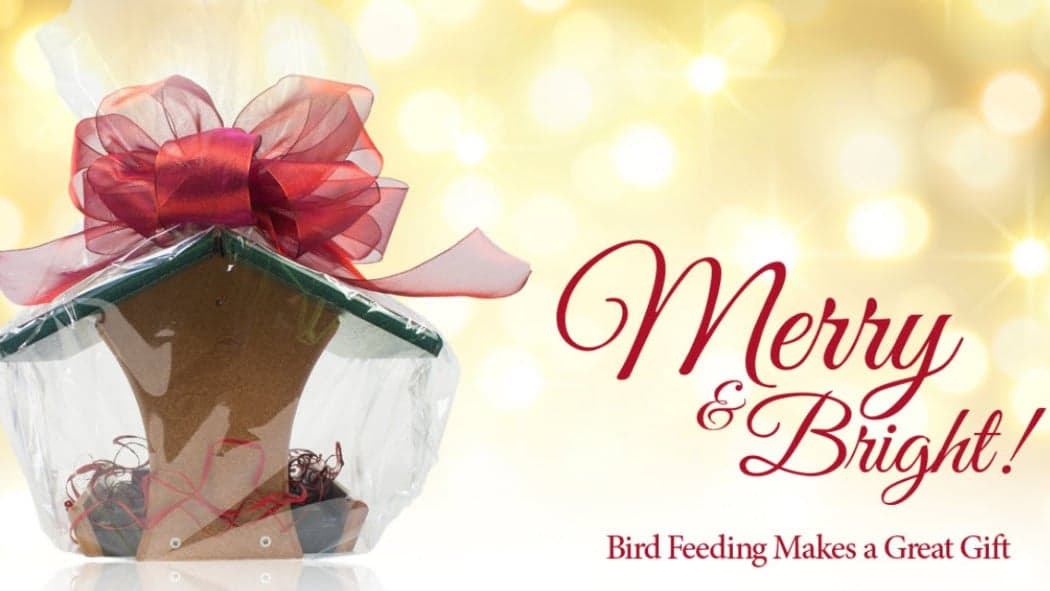 Last-minute Holiday Gifts: Wild Birds Unlimited is Here to Save the Day Last-minute Holiday Gifts: Wild Birds Unlimited is Here to Save the Day