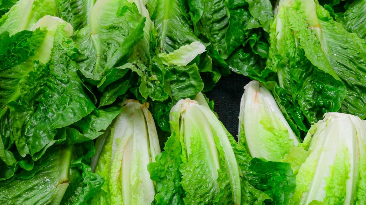Nation's Restaurant News: FDA continues probe of tainted romaine Nation's Restaurant News: FDA continues probe of tainted romaine