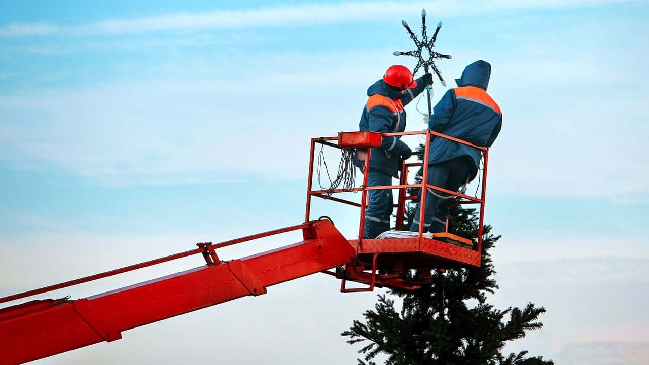 5 Seasonal Franchises We Love 5 Seasonal Franchises We Love
