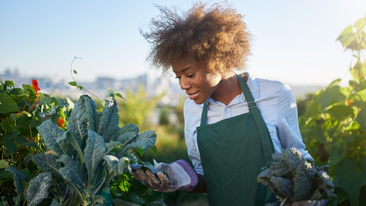 Analysis Reveals Kale to be One of the Most Contaminated Vegetables Analysis Reveals Kale to be One of the Most Contaminated Vegetables