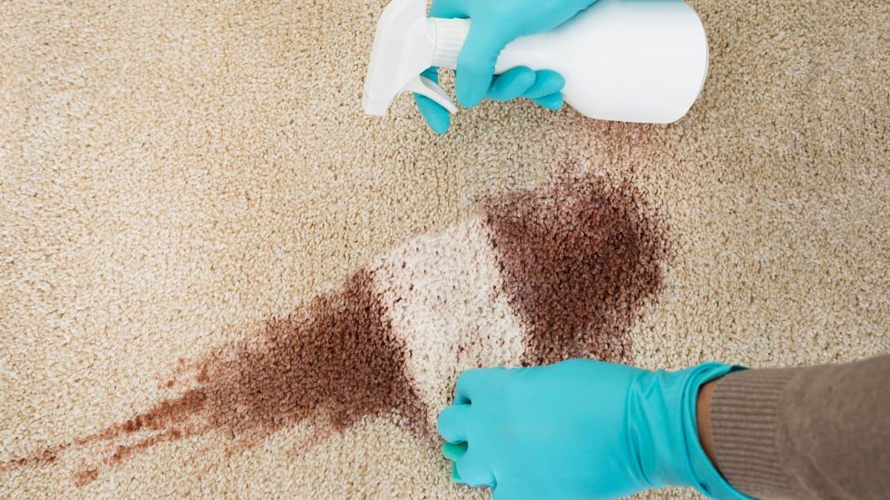 A Day in the Life of a Carpet Chemist Owner / Operator A Day in the Life of a Carpet Chemist Owner / Operator