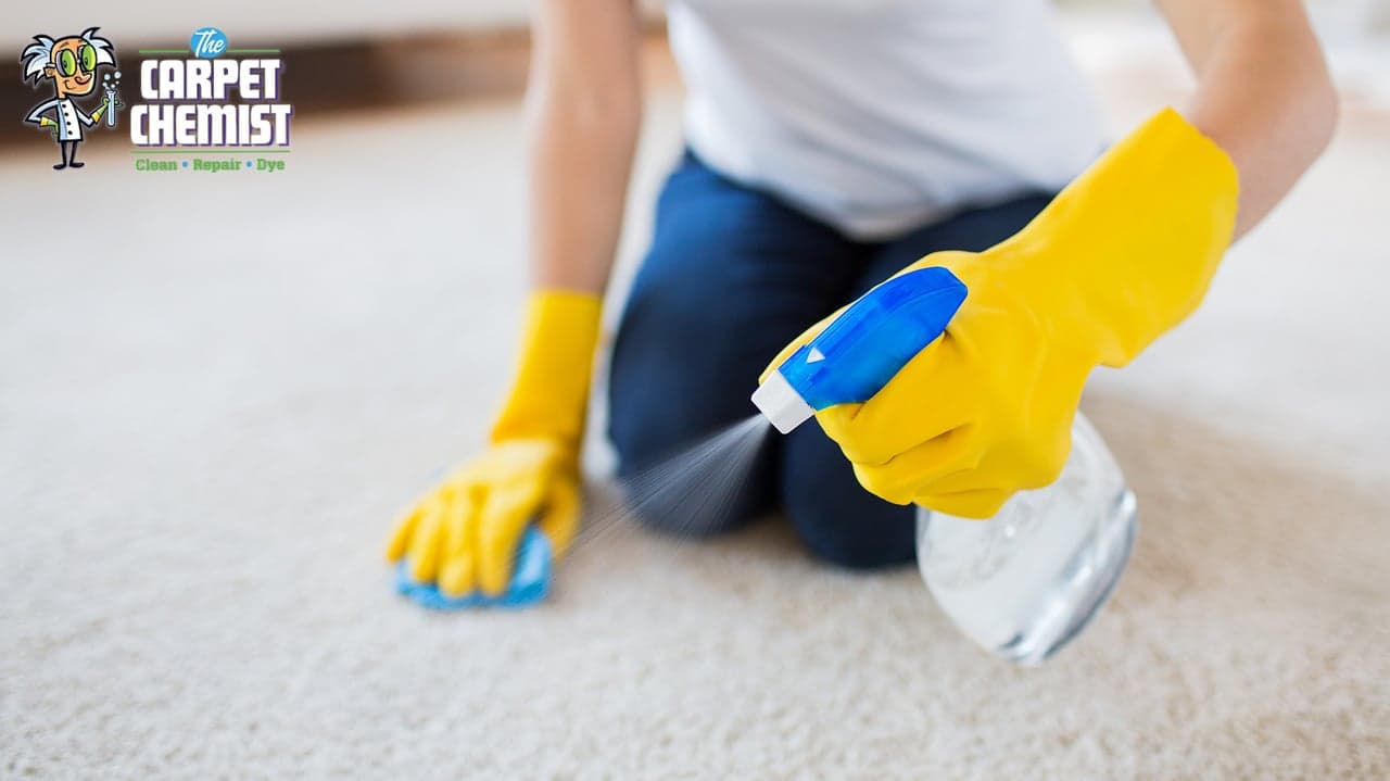 How Is The Carpet Chemist Different From Competing Franchises in the Category? How Is The Carpet Chemist Different From Competing Franchises in the Category?