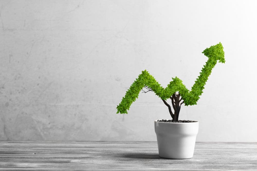 Franchise Marketing 101: How to Accelerate Franchise Growth Franchise Marketing 101: How to Accelerate Franchise Growth