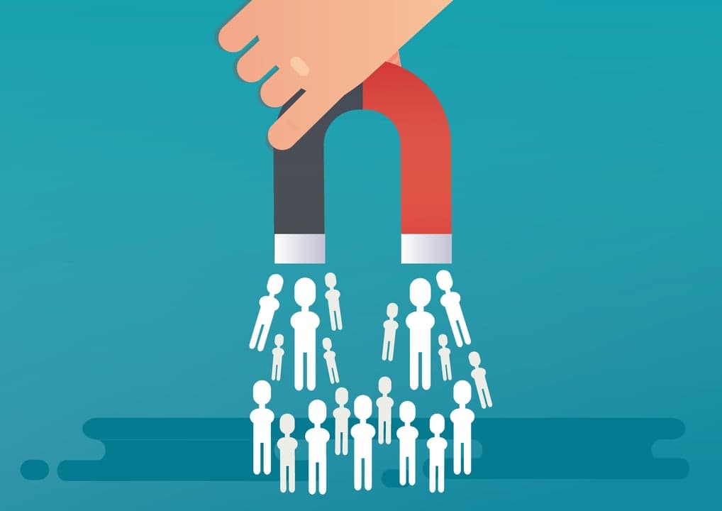 How the Franchisee Validation Process Increases Organic Leads How the Franchisee Validation Process Increases Organic Leads