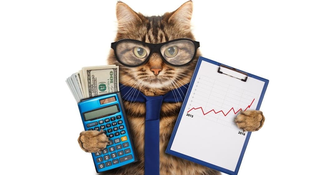 6 End of Year Accounting Tips for Franchisors 6 End of Year Accounting Tips for Franchisors