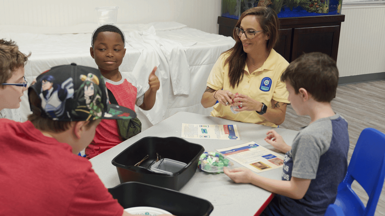 Who Is the Ideal Children's Lighthouse Franchisee? Who Is the Ideal Children's Lighthouse Franchisee?