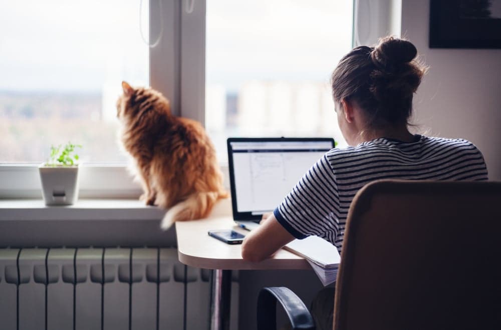 3 Ways the Workplace Will Change on the Other Side of Coronavirus 3 Ways the Workplace Will Change on the Other Side of Coronavirus