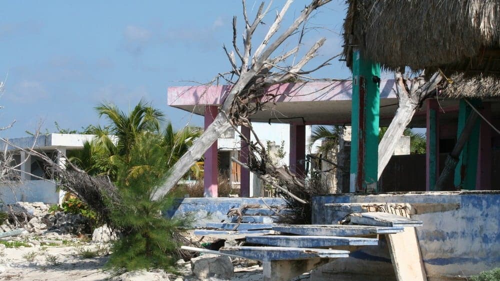 Florida Store Operators Gear Up for Long-Term Recovery Efforts in Wake of Hurricane Michael Florida Store Operators Gear Up for Long-Term Recovery Efforts in Wake of Hurricane Michael
