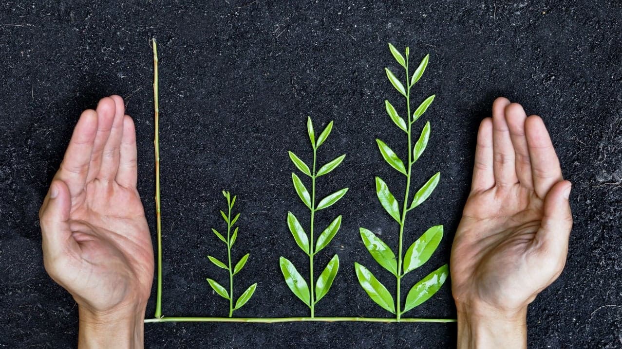 Franchising a Concept: The Five Biggest Obstacles to Growing a Successful Franchised Brand Franchising a Concept: The Five Biggest Obstacles to Growing a Successful Franchised Brand