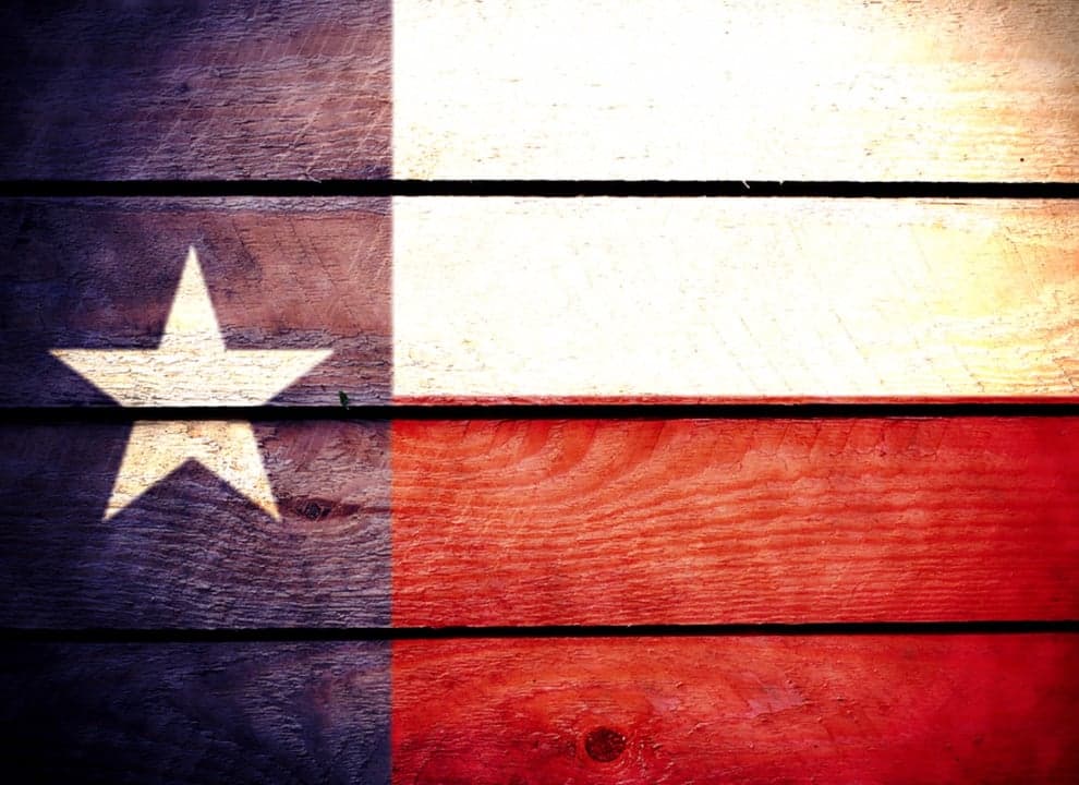 Everything’s Bigger in Texas: Buffalo Wings & Rings’ Success in the Lone Star State Everything’s Bigger in Texas: Buffalo Wings & Rings’ Success in the Lone Star State