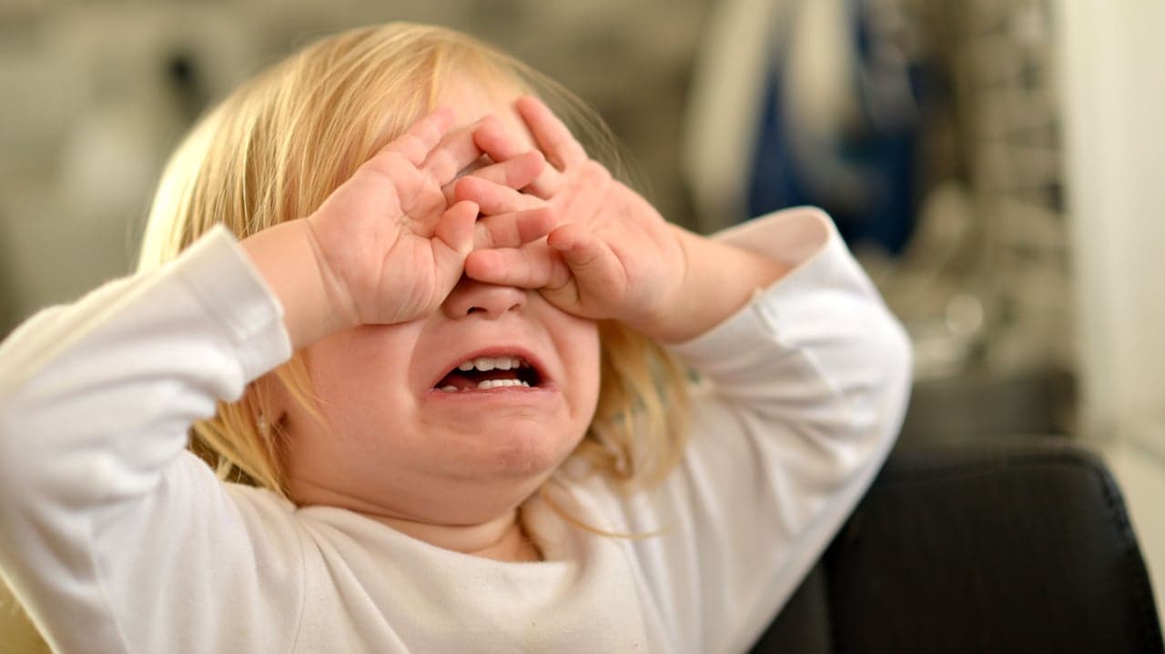 Taming the Temper Tantrum Taming the Temper Tantrum
