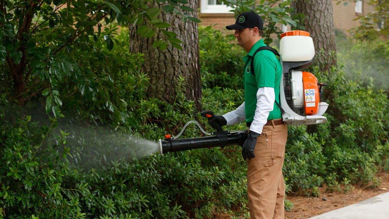 Ohio Mosquito Joe Franchisees See Increase in Mosquito Activity Due to Higher Rainfall Ohio Mosquito Joe Franchisees See Increase in Mosquito Activity Due to Higher Rainfall
