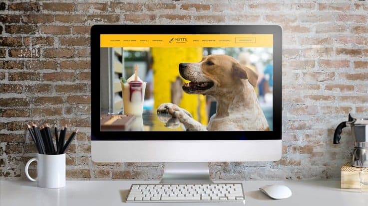 MUTTS Canine Cantina Takes Dog-Friendly Patios to the Next Level MUTTS Canine Cantina Takes Dog-Friendly Patios to the Next Level