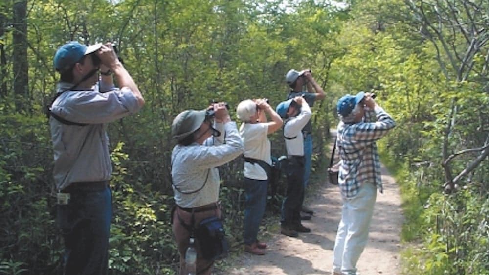 Christmas Bird Count Allows Bird Buffs to Collect Valuable Data—and Have Tons of Fun Christmas Bird Count Allows Bird Buffs to Collect Valuable Data—and Have Tons of Fun