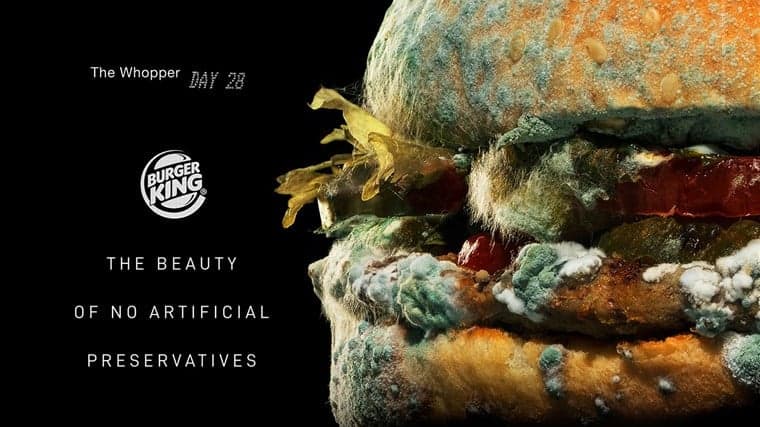 Burger King’s #MoldyWhopper Is The Latest Push for 'Real Food' in the QSR Segment Burger King’s #MoldyWhopper Is The Latest Push for 'Real Food' in the QSR Segment