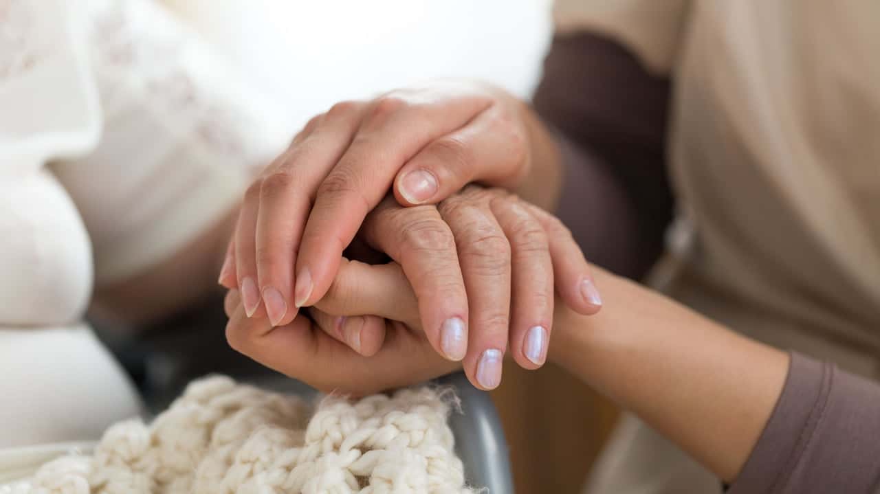 How undefined Evolved and Set New Standards WFMZ-TV: Seniors Helping Seniors Won't Let Virus Diminish Connections With Seniors