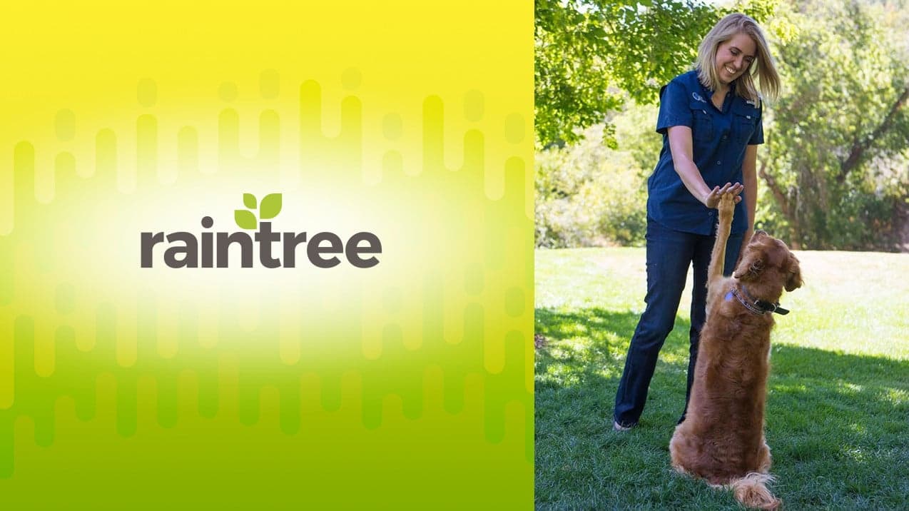 A Partnership Between Dog Training Elite and Raintree Led to Six Signed Franchise Agreements in 6 Weeks A Partnership Between Dog Training Elite and Raintree Led to Six Signed Franchise Agreements in 6 Weeks