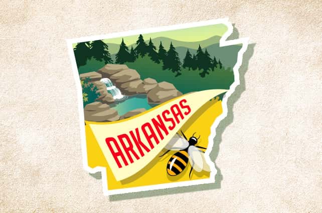 How undefined Evolved and Set New Standards Arkansas franchise