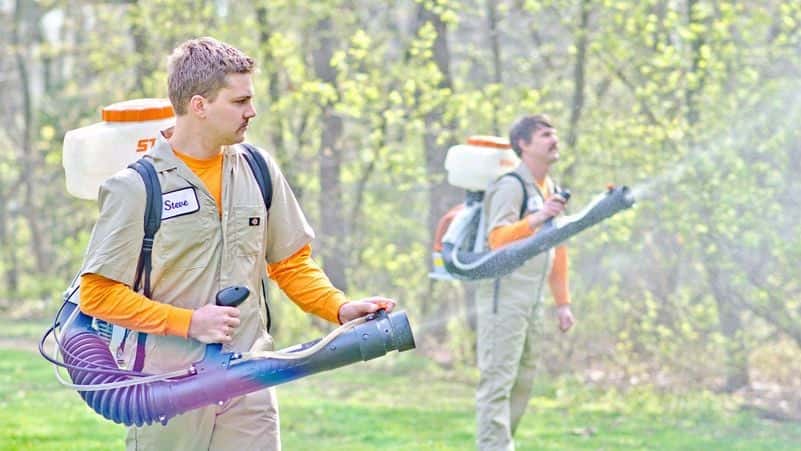 How undefined Evolved and Set New Standards Mosquito Hunters