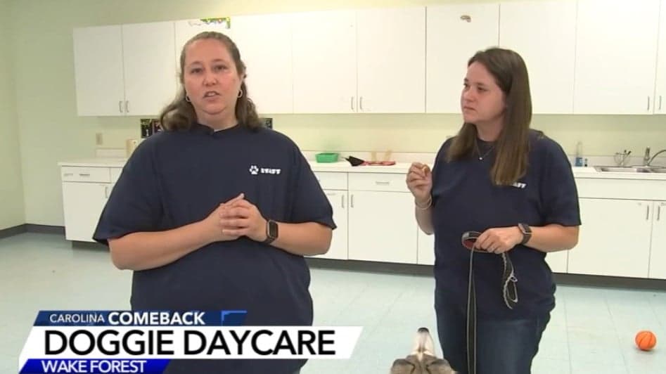 WTVD: Wake Forest Hounds Town USA Franchisees Featured on Raleigh’s ABC Affiliate WTVD: Wake Forest Hounds Town USA Franchisees Featured on Raleigh’s ABC Affiliate