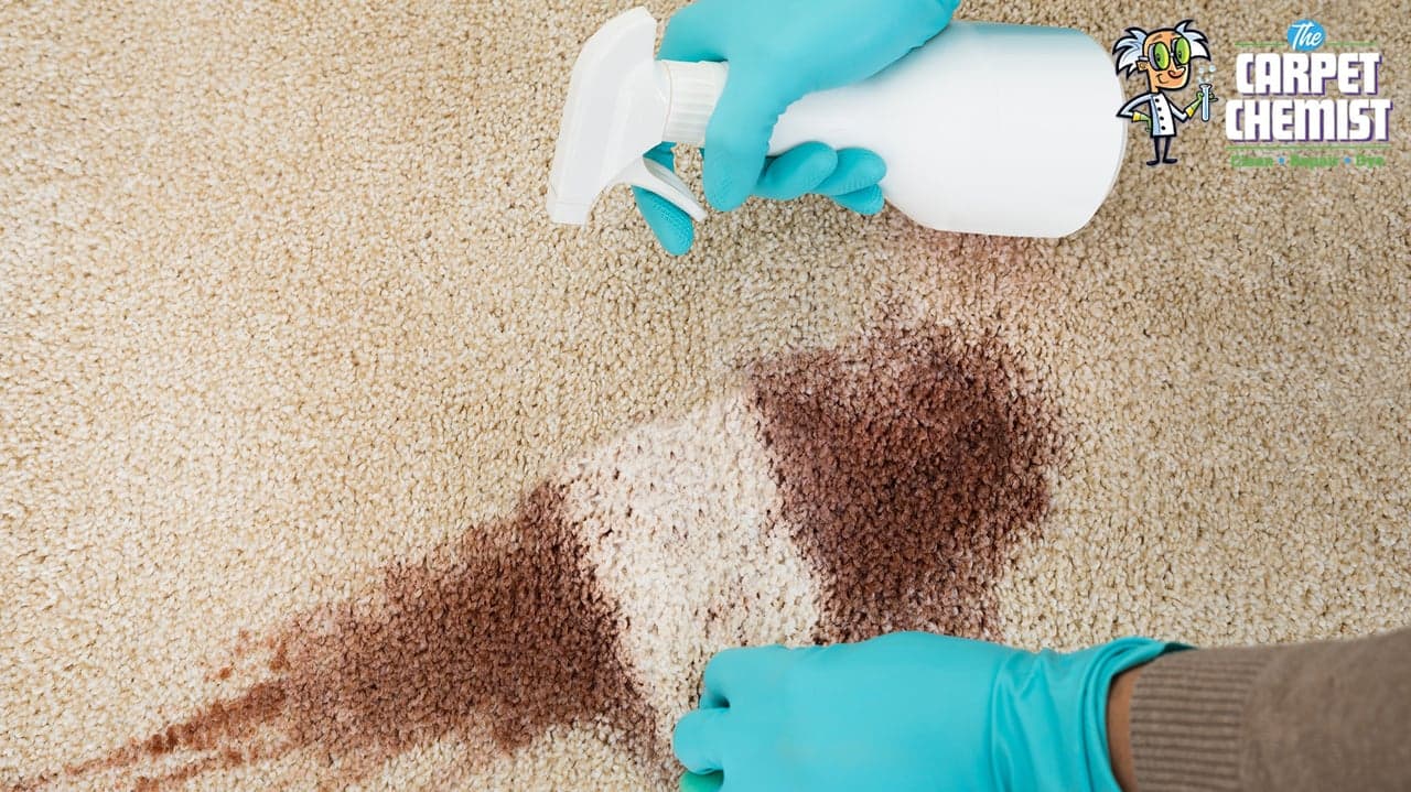 Where is The Carpet Chemist Growing? Where is The Carpet Chemist Growing?