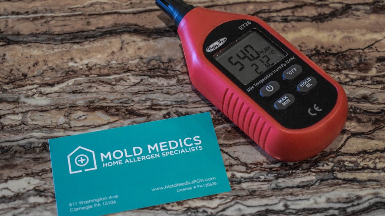 New Franchise Mold Medics Is Leveraging Family Franchise History With New Franchise Opportunity New Franchise Mold Medics Is Leveraging Family Franchise History With New Franchise Opportunity