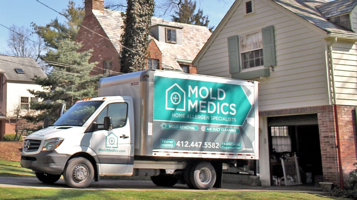 Breaking Down the Costs to Open a Mold Medics Franchise Breaking Down the Costs to Open a Mold Medics Franchise