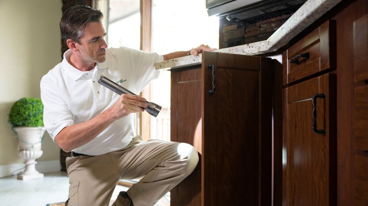How Much Does it Cost to Own a Pestmaster Services Franchise? How Much Does it Cost to Own a Pestmaster Services Franchise?