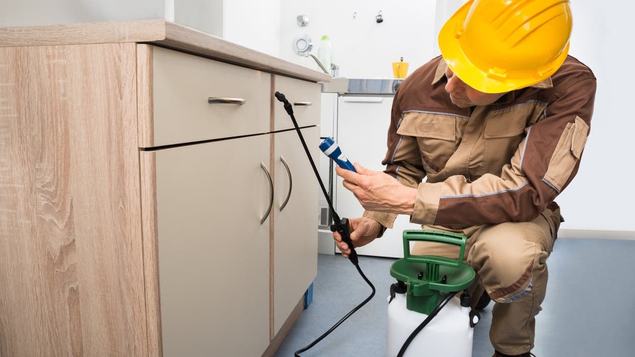 All the Buzz: The 7 Best Pest Control Franchise Opportunities All the Buzz: The 7 Best Pest Control Franchise Opportunities