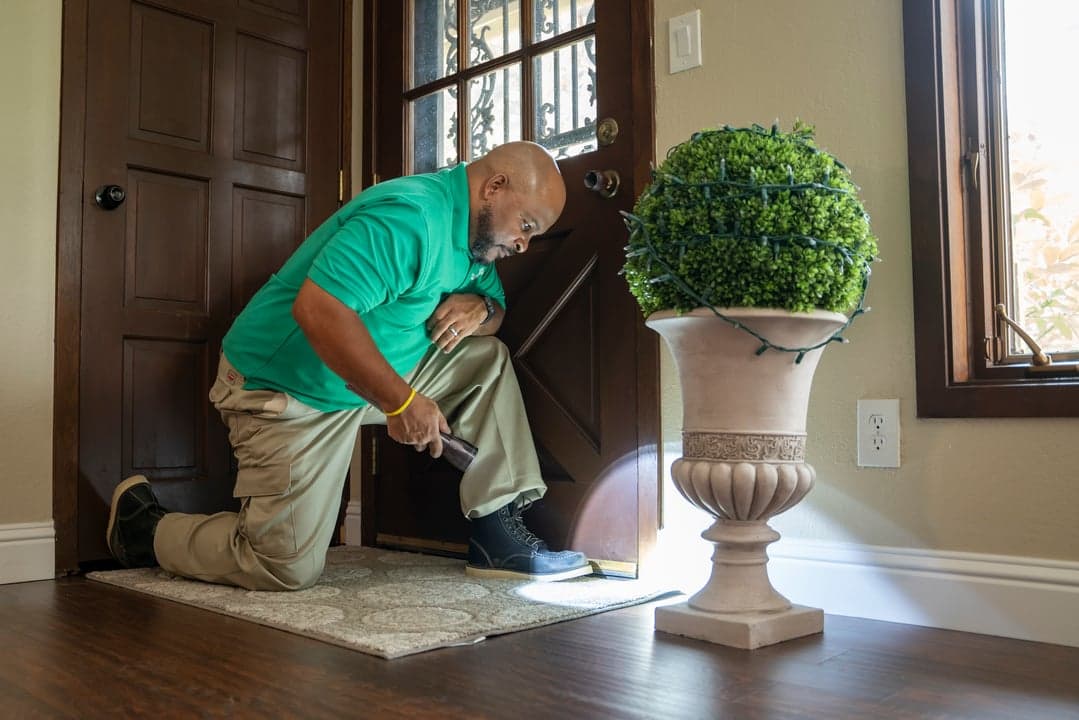 Pestmaster Targets the Southeast US for Franchise Growth Pestmaster Targets the Southeast US for Franchise Growth