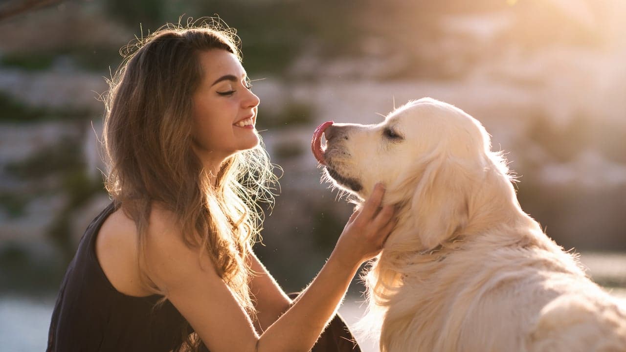 Top 7 Pet Services Franchises To Consider for 2022 Top 7 Pet Services Franchises To Consider for 2022