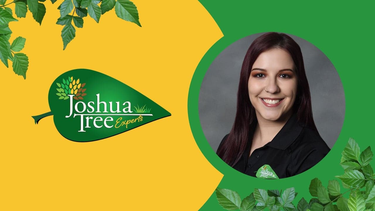 Madison Malik Is Taking Joshua Tree Experts to the Next Level With Grassroots Marketing and A Lot of Brand Loyalty Madison Malik Is Taking Joshua Tree Experts to the Next Level With Grassroots Marketing and A Lot of Brand Loyalty