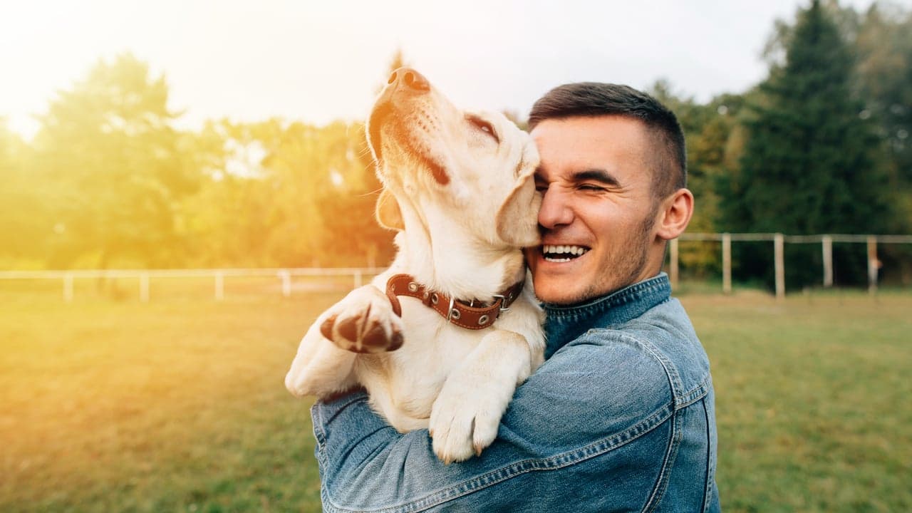 Why Multi-Unit Owners Continue to Reinvest with Scoop Soldiers Why Multi-Unit Owners Continue to Reinvest with Scoop Soldiers