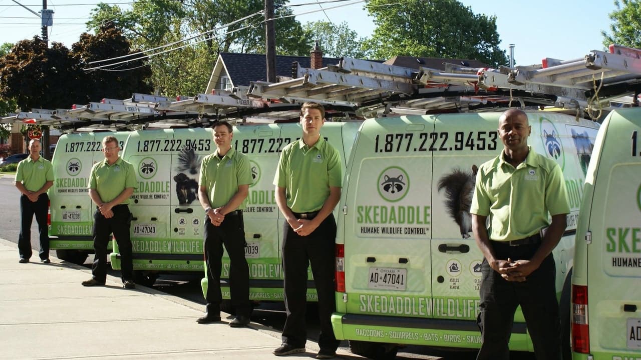 Skedaddle Humane Wildlife Control Sees Double-Digit Sales in 2022 as the Brand Expanded Its Presence in the US and Canada Skedaddle Humane Wildlife Control Sees Double-Digit Sales in 2022 as the Brand Expanded Its Presence in the US and Canada
