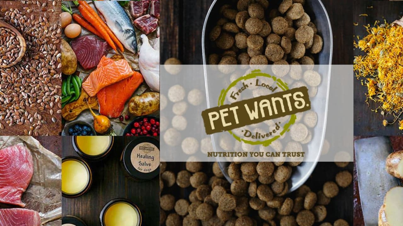 Pet Wants Taps DeNita Carani as President Pet Wants Taps DeNita Carani as President