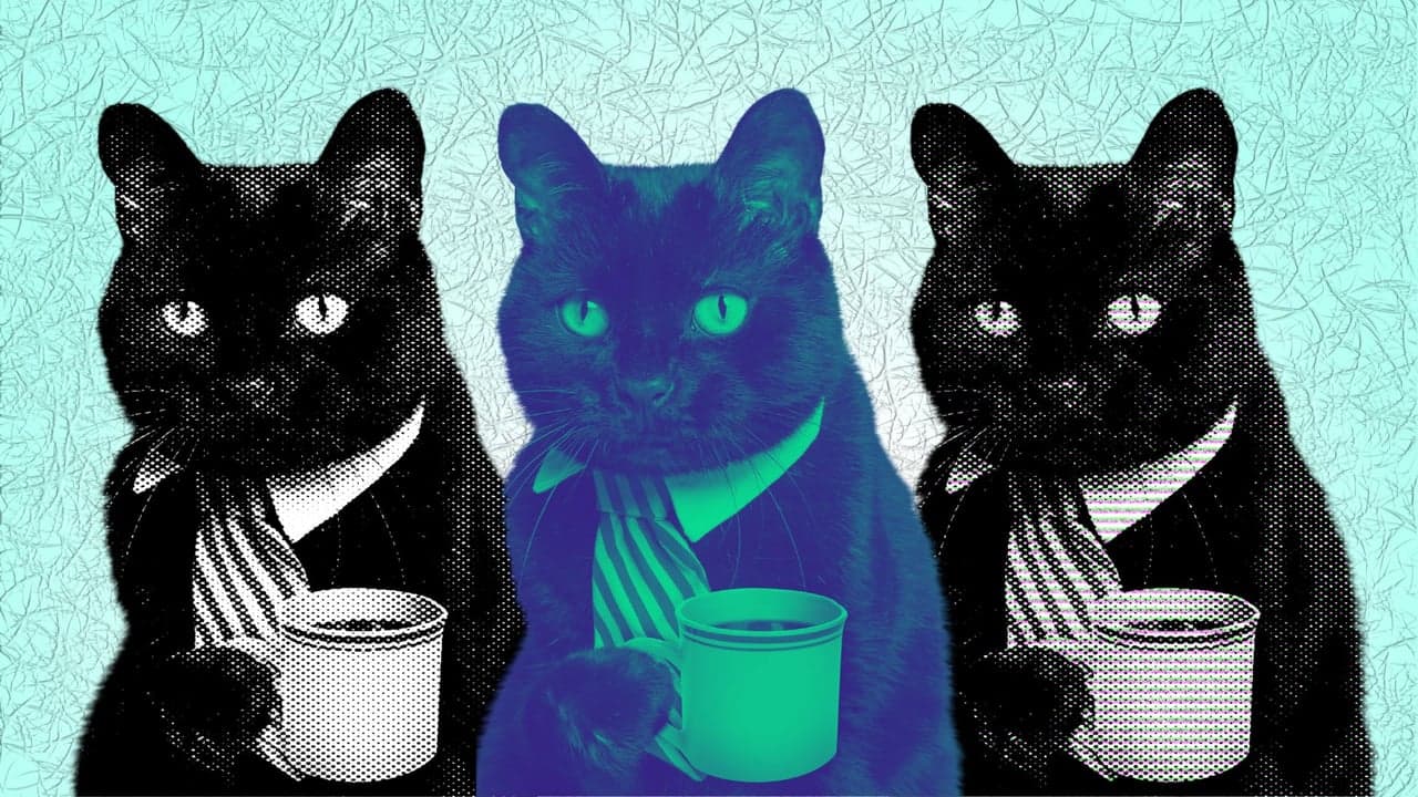 Pet Franchises Leading the Pack in 2023 Pet Franchises Leading the Pack in 2023