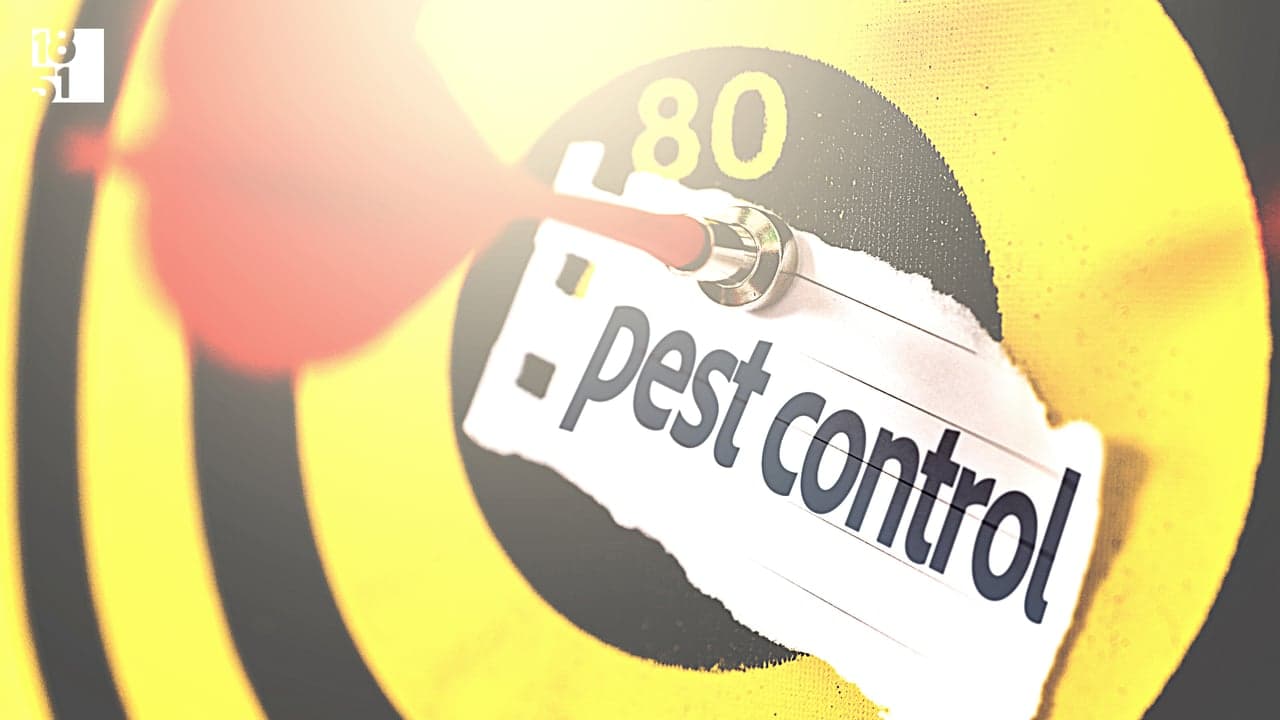 Why Own a Pest Control Franchise? Why Own a Pest Control Franchise?
