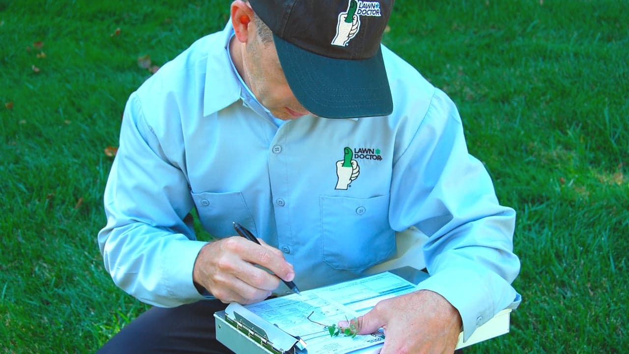 How Lawn Doctor’s Mid-Season Rollout Program Ensures New Owners a Successful First Year How Lawn Doctor’s Mid-Season Rollout Program Ensures New Owners a Successful First Year