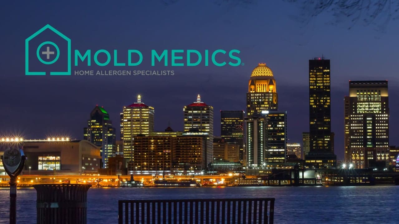 Mold Medics Targets Louisville, KY for Franchise Growth Mold Medics Targets Louisville, KY for Franchise Growth