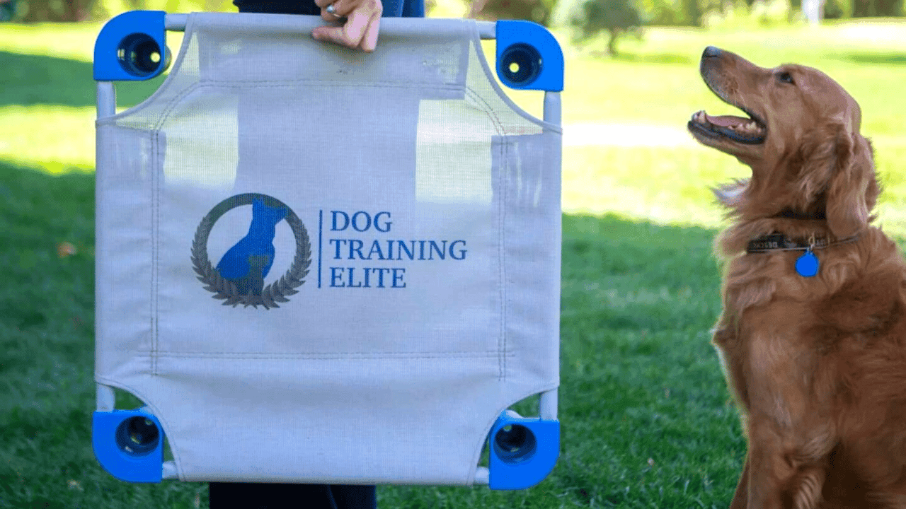 Dog Training Elite Ranked No. 521 on 2023 Inc. 5000 Amidst Major Growth Push Dog Training Elite Ranked No. 521 on 2023 Inc. 5000 Amidst Major Growth Push