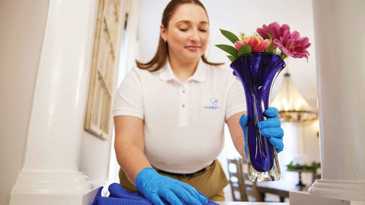 How MaidPro Capitalizes on Home Cleaning Industry Trends How MaidPro Capitalizes on Home Cleaning Industry Trends
