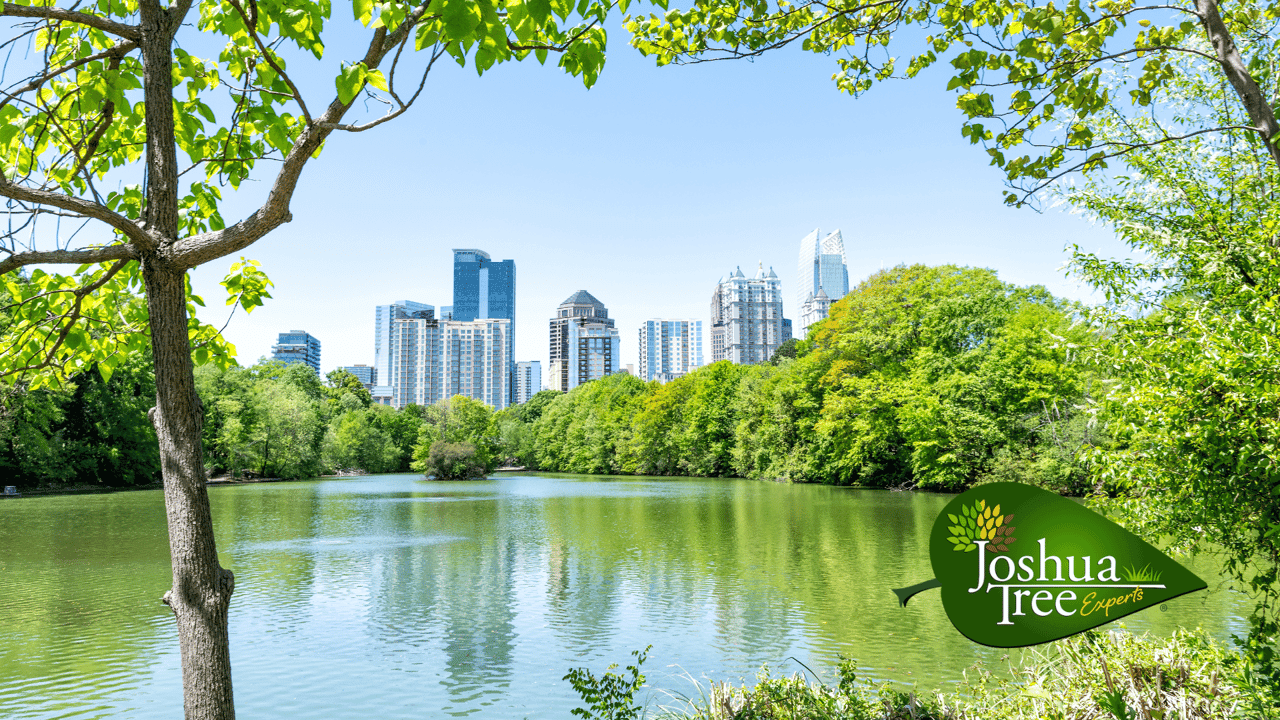 Joshua Tree Experts Sets Its Sights on Atlanta Metro; Looks to Add 15 Franchise Territories Throughout Georgia Joshua Tree Experts Sets Its Sights on Atlanta Metro; Looks to Add 15 Franchise Territories Throughout Georgia