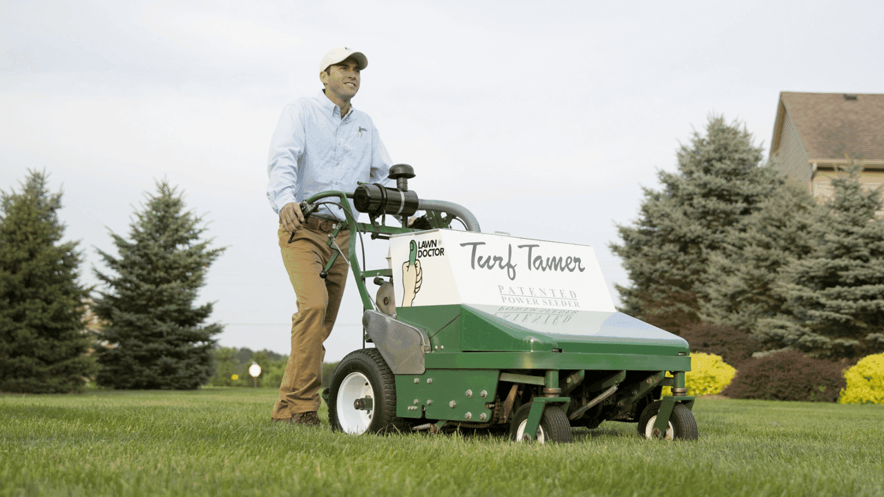 How undefined Evolved and Set New Standards Lawn Doctor’s Secret to Their Competitive Edge in the Lawn Care Market
